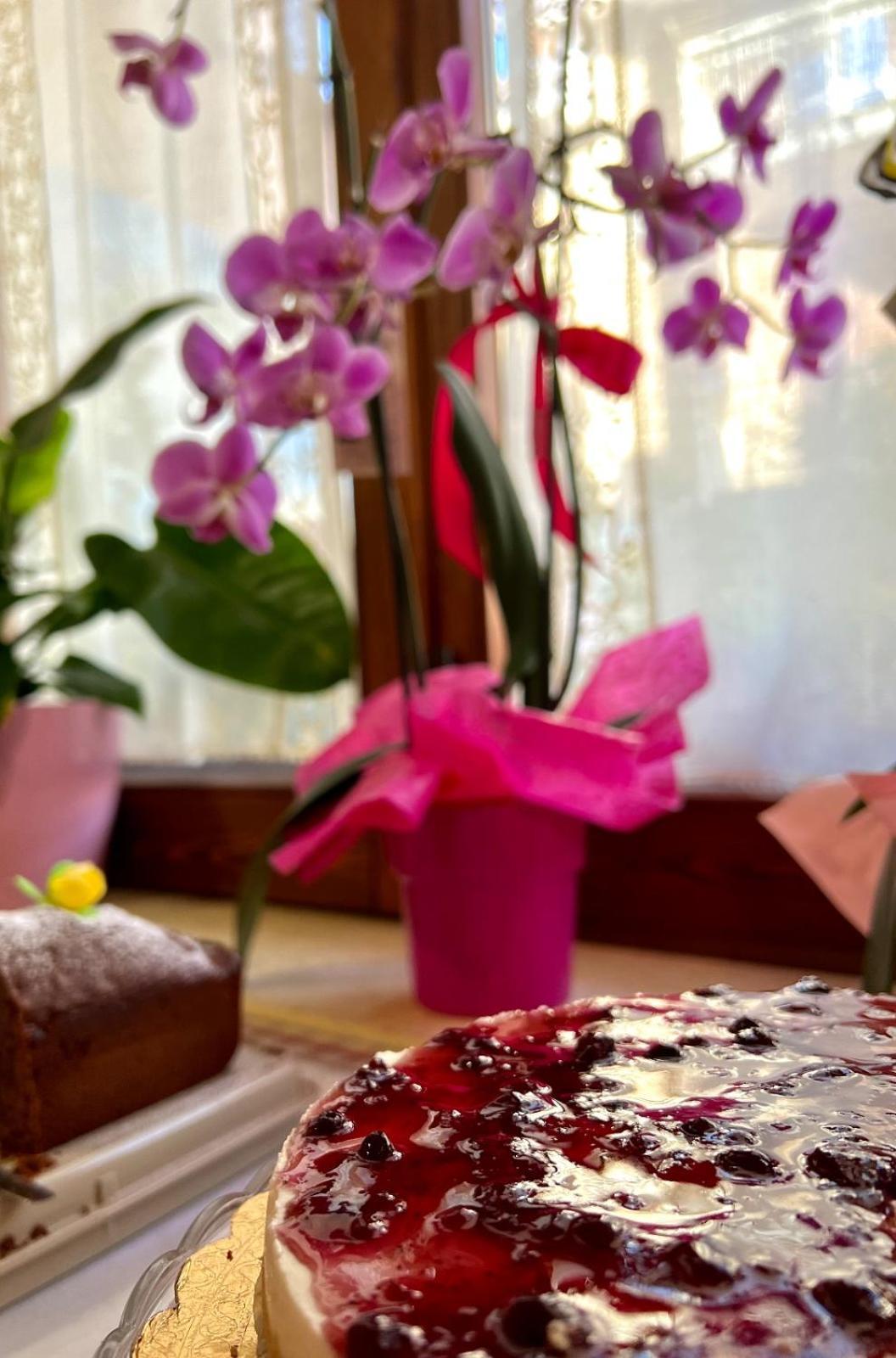 Il Ritrovo Delle Volpi Bed & Breakfast อาเจโรลา ภายนอก รูปภาพ