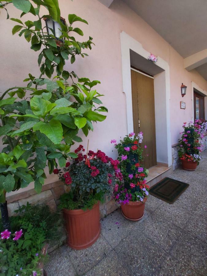 Il Ritrovo Delle Volpi Bed & Breakfast อาเจโรลา ภายนอก รูปภาพ